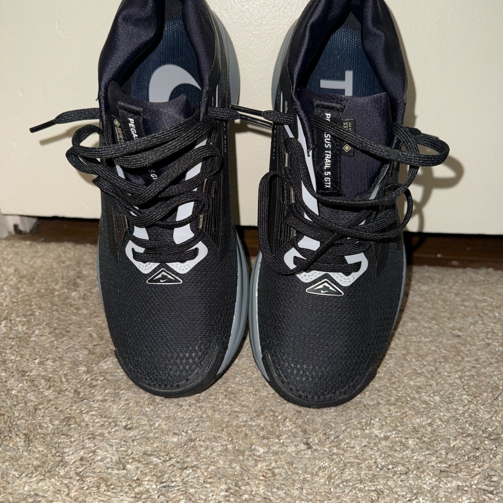 Nike- PEGASUS TRAIL GORETEX SHOES